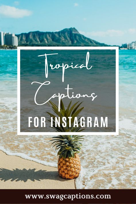 Looking for the perfect tropical captions and quotes to post on your Instagram? Look no further! We've got you covered with a list of some of our favorite tropical-themed quotes that will help you capture the essence of summer. So, grab your sunnies and get ready to snap some pics! #tropicalcaptions #tropicalquotes #tropical #nature #beach #travel #summer #paradise #tropicalvibes #love #photography #ocean #island #vacation #instagood #beautiful #islandlife #art #photooftheday #plants #flowers Tropical Sayings Quotes, Instagram Captions Tropical, Quotes About Paradise, Island Quotes Life, Island Life Captions Instagram, Caribbean Instagram Captions, Island Vibes Quotes, Tropical Vacation Instagram Captions, Island Quotes Travel