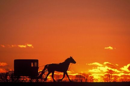 Outsiders Will Be Shocked to Learn These Things About the Amish Community Amish Country Ohio, Pennsylvania Dutch Country, American States, Best Places To Vacation, Amish Community, Horse And Buggy, Pennsylvania Dutch, Lancaster County, Amish Country