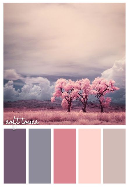 These soft tones are perfect for a bedroom #Fishpools Apartment Modern, Charcoal Drawings, Color Palate, Design Seeds, Color Balance, Trik Fotografi, Color Inspo, Colour Board, Colour Schemes