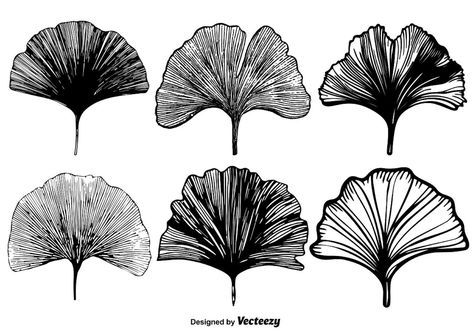 Vector Gingko Leaf Set Hur Man Ritar Blommor, Motifs Art Nouveau, Gingko Leaves, Leaf Silhouette, Dragonfly Art, Fabric Stamping, Leaf Drawing, Art Journal Techniques, Ink Illustrations