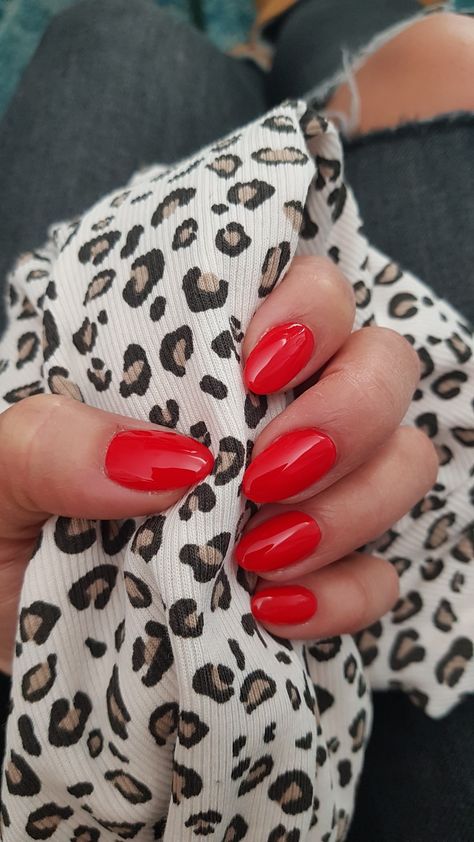 Strawberry Red Nails, Candy Red Nails, Candy Apple Red Nails, Red Shellac Nails, Strawberry Art, Nail Candy, Brow Lash, Shellac Nails, Candy Apple Red