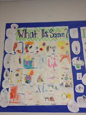 Science FUN& a Freebie! Scientist Anchor Chart, Science Chart, Kindergarten Anchor Charts, Science Anchor Charts, Interactive Writing, Kindergarten Freebies, 1st Grade Science, Primary Science, Science Tools