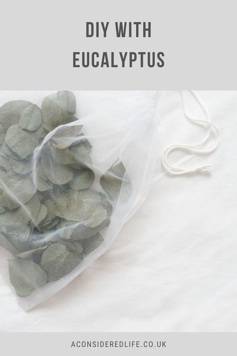 Things To Do With Dried Eucalyptus, Eucalyptus Diy Ideas, Eucalyptus Room Decor, What To Do With Dried Eucalyptus, What To Do With Eucalyptus Leaves, Eucalyptus Leaves Uses, Drying Eucalyptus Diy, Eucalyptus Drying, Fresh Eucalyptus Uses