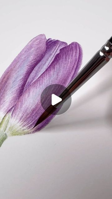 Kristine Rapohina on Instagram: "Leave a comment with word TULIPS and I will send you this amazing practice to try and paint!!! 🖤💜 Graphite pencil study and watercolor study 

Graphite practice will help you no matter with which painting medium you are working 🤩

Comment TULIPS" Watercolor Tulips Tutorials Step By Step, Watercolor Pencil Flowers, Watercolor Study, Water Color Pencils, Tulips Art, Watercolor Tulips, Painting Medium, Graphite Pencils, Painted Leaves