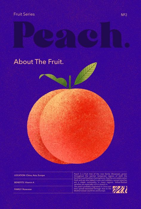 Poster with a peach fruit by Nataliia Voloshyna Peach Poster, Apple Illustration, Illustration Projects, Peach Art, Digital Art Poster, Peach Fruit, Illustration Work, 카드 디자인, Fruit Illustration