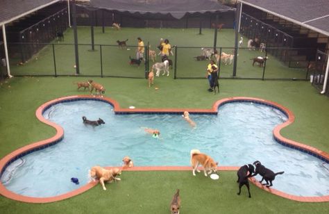 Dog Park Layout, Puppy Daycare, Doggy Daycare Business, Dog Park Ideas, Dog Park Design, Dog Daycare Design, Dog Mansion, Dog Daycare Business, Dog Boarding Ideas