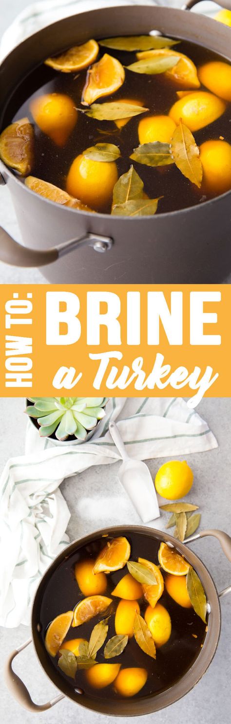 How to brine a turkey How To Bribe A Turkey, Turkey Roasting Bag, Smokehouse Recipes, Beer Turkey, Bourbon Brine, Smoked Turkey Brine, Thanksgiving Posts, Best Turkey Brine, Easy Turkey Brine