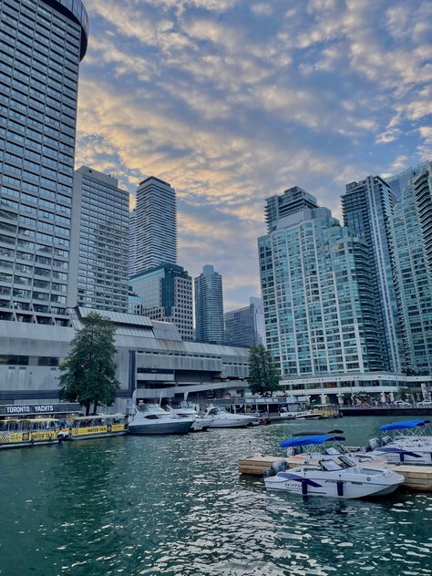 #toronto #harbour Summer Beach, Toronto