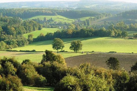 Newlands Corner | Surrey Hills Surrey England Aesthetic, Nilgiris Hills, Cornish Landscape, Long Valley Road Hidden Hills, Surrey Hills England, Modelling Ideas, Surrey England, House Search, Walking Routes