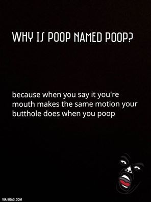 Pooping Humor, Pooping Quotes, Poop Jokes, Potty Humor, Funny People Quotes, Humor Inappropriate, Funny Quotes For Teens, Funny Happy, People Quotes