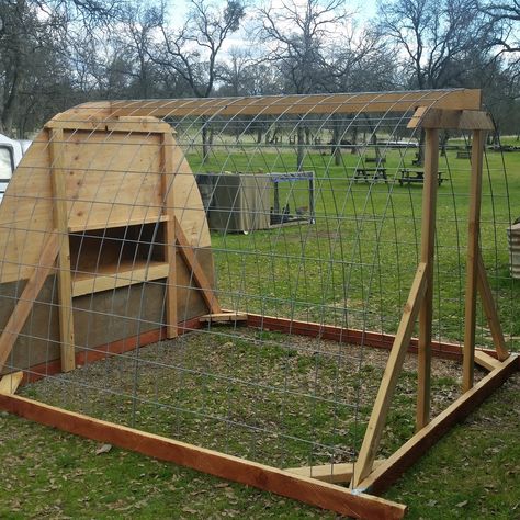 Ms Biddy's Cattle Panel Hoop Coop | BackYard Chickens - Learn How to Raise Chickens Cattle Panel Chicken Coop, Hoop House Chickens, Hoop Coop, Hoop House, Cattle Panels, Clean Chicken, Chicken Tractors, Backyard Chicken Coop, Backyard Chicken Coop Plans