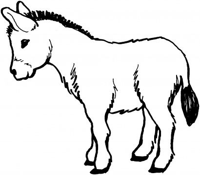 See More Donkey Coloring Page Goat Coloring Pages, Donkey Drawing, Goat Picture, Shape Coloring Pages, Inkscape Tutorials, Farm Animal Coloring Pages, Cute Goats, Printable Pictures, A Goat