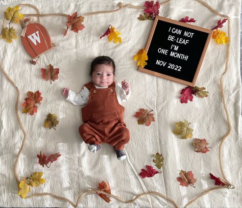 September One Month Baby Pictures, Fall Milestone Picture Ideas, Fall Monthly Baby Photos, Baby Photoshoot 6 Months, September Milestone Picture Ideas, September Monthly Baby Photos, Milestone Picture Ideas For Boys, November Photoshoot Ideas Baby, Photoshoot 6 Months