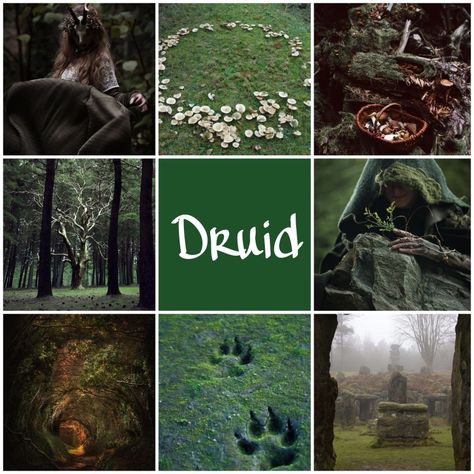 Wood Elf Druid Aesthetic, Druid Aesthetic Clothing Dnd, Circle Of Stars Druid Starry Form, Druids Aesthetic, Druid Dnd Aesthetic, D&d Druid, Druid Aesthetic Dnd, Celtic Aesthetic, Druid Aesthetic