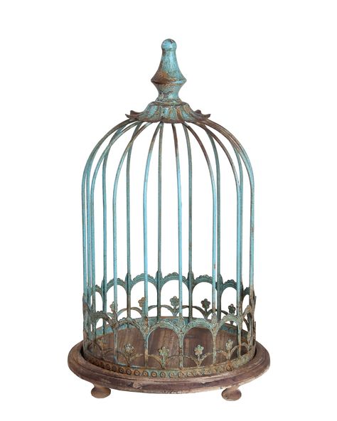 Antique Bird Cages Vintage, Ornate Bird Cage, Bird Cage Aesthetic, Ttpd Sticker, Bird Cage Tattoo, Bird Cage Ideas, Bird Cage Vintage, Bird Wings Costume, Birdcage Tattoo