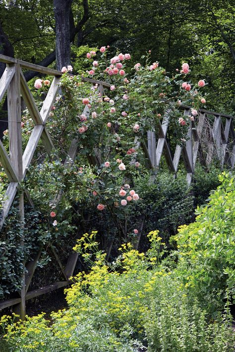 Tria Giovan Photography Cottage Garden Fence, Yard Trellis, Wisteria Arbor, Hamptons Garden, Trellis Fence, Deer Fence, Green Fence, European Garden, Lavender Garden