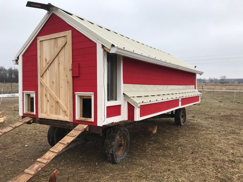 Wagon Chicken Coop, Chicken Wagon, Chicken Trailer, Coop On Wheels, Chicken Tractor Plans, Chicken Coop On Wheels, Chicken Coop Backyard, Herd Of Cows, Chicken Coop Blueprints