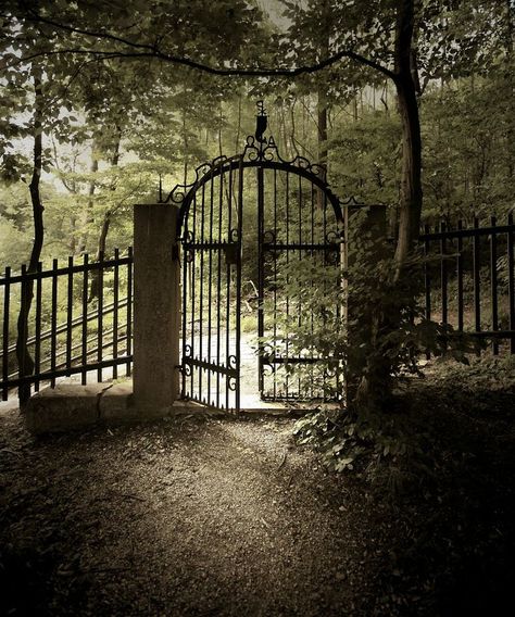 old cemetary gates | Gate into the Old Kahlenberg Cemetery, Vienna Old Gates, Old Cemeteries, Iron Gates, Belem, Fence Gate, Iron Gate, Garden Gates, Abandoned Places, Graveyard