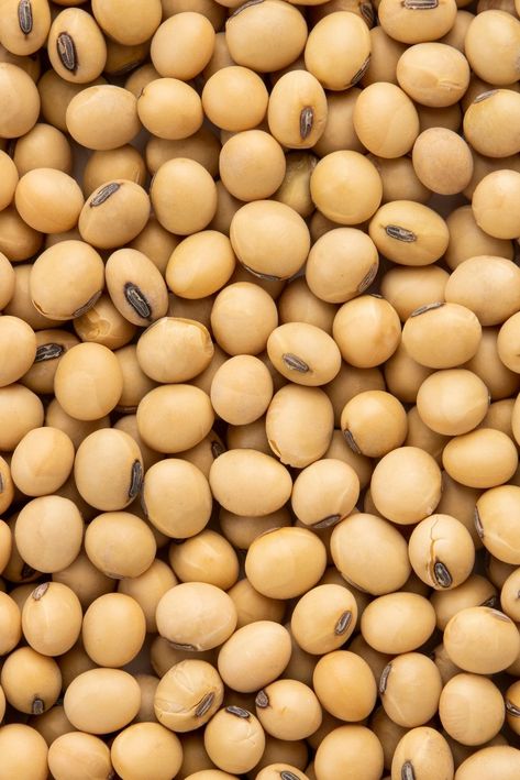 There can be many questions and speculations about soybeans, so we're here to set the record straight about the facts and myths surrounding this particular grain. 🌱   Fact: Soybeans are an allergen for some people  Myth: Soybeans negatively impact reproductive hormones  Fact: Soybeans are high in nutrients.  Myth: Soybeans are dangerous to eat because they can be genetically modified.   Click here to learn details about these myths and facts about soybeans! Soy Allergy, Savoury French Toast, Firoz Khan, Facts And Myths, Ram Navmi, Myths And Facts, Soy Bean, Background Food, Soy Recipes