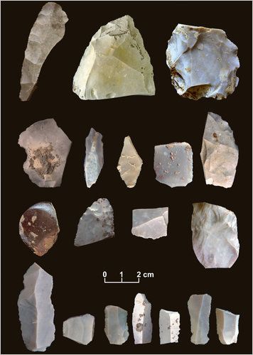 Spear Points Found in Texas Dial Back Arrival of Humans in America - New York Times. Researchers say the tools may be as old as 15,500 years, retiring a long-held hypothesis that the so-called Clovis people, who came from Asia 13,000 years ago, were the first to arrive. Learn more: http://www.nytimes.com/2011/03/25/science/25archeo.html?_r=0