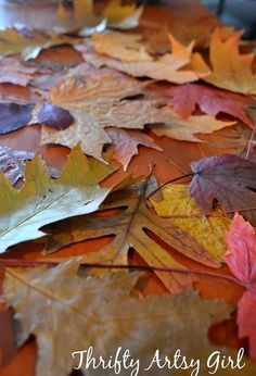 how to easily preserve fall leaves with an iron and wax paper, crafts, how to Preserve Fall Leaves, Crafternoon Ideas, Easy Diy Fall Decor, Raking Leaves, Easy Fall Wreaths, Mason Jar Candle Holders, Artsy Girl, Garden Frogs, Colorful Bowls