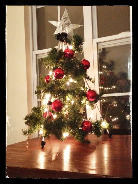 Camera tripod turned into a Christmas tree with garland, lights & ornaments. Rethinking tradition. Tripod Christmas Tree, Film Themed Christmas Tree, Camera On Tripod Aesthetic, Santa Camera Ornament, Camera On Tripod, Lighted Ornaments, First Christmas, Christmas Tree, Holiday Decor