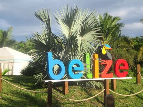 Harvest Caye, Belize - Picture of Harvest Caye Norwegian Cruise Line ... Belize Pictures, Dangriga, Cabin Pressure, Norwegian Cruise Line, Vacation Vibes, Norwegian Cruise, Artist Quotes, Cruise Deals, Mayan Ruins