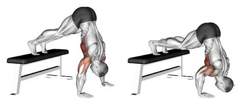 Pike Pushup, Back Workout At Home, Barbell Press, Chest Workout At Home, Push Up Handles, Handstand Push Up, Elbow Pain, Full Body Workout At Home, Push Up Bars