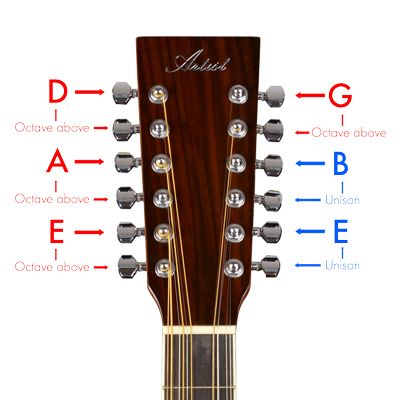 How to tune a 12 string guitar Acoustic Guitar Chords, 12 String Acoustic Guitar, 12 String Guitar, Music Theory Guitar, Guitar Tabs Songs, Acoustic Guitar Lessons, Not Musik, Guitar Diy, Guitar Tech