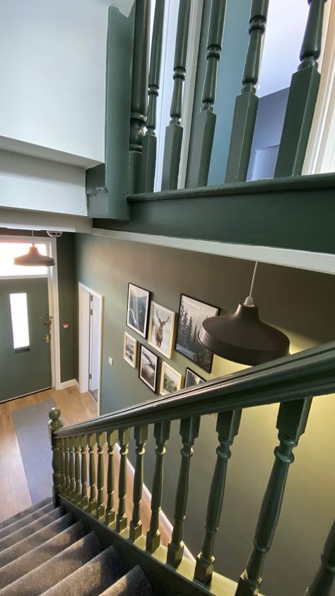 This emerald green stairs is cool in the eyes. There are wonderful wall arts hanged in the hallway with simple ceiling lights just perfect for the high ceiling. The medium gray carpet matches the laminated oak flooring. This is an easy DIY staircase design you can also do. Dark Green Stairs And Landing, Green Stair Banister, Dark Green Staircase, Stair Color Ideas, Green Bannister, Green Banister, Royal Foyer, Stair Color Ideas Stairways, Dark Green Hallway