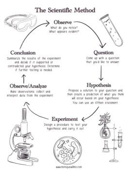 This is a digital product. You will be sent a download link upon purchase.The scientific method is an important part of any science program. Starting from very young ages children can partake in inquiry based discovery and make guesses about what will happen, reason why they think it will happen and test their theories.This package contains:1 Scientific Method Reference Poster1 Simplified Scientific Method Lab Notebooking page (suitable for grades 1-4)1 Scientific Method Lab Notebooking Page (2 pages and suitable for grades 5-8)*Please note that there are several different versions of the scientific method, the steps and the wording. I chose the one that we most utilize. Scientific Method Notes, Ecology Notes, Biology Basics, Scientific Method Elementary, Teaching Scientific Method, Algebra Vocabulary, Scientific Method Lab, Scientific Method Experiments, Classroom Structure