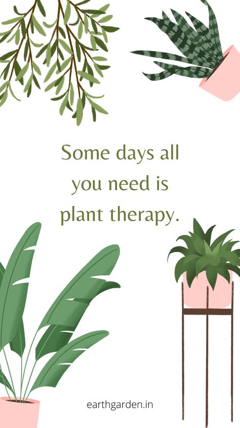 plant therapy\ plant quotes\ inspirational quotes \ motivational quotes \ earth garden \ garden decor \ home decor \ online shopping \ decor shop online Quotes On Plants, Plant Related Quotes, Plants Lover Quotes, Qoutes About Plants, Plant A Garden Quote, Plant Jokes, Plants Quotes, Vegetable Garden Diy, Plants Are Friends