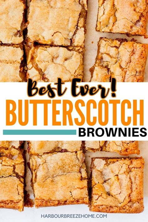 These soft & chewy butterscotch brownies were a yearly Summer camp tradition the campers went wild for! Mix them up quick with simple ingredients in just one bowl. Butterscotch Brownies, Butterscotch Recipes, Butterscotch Blondies, Cookie Dough Cake, Blondies Recipe, Butterscotch Chips, Chocolate Dessert Recipes, Köstliche Desserts, Chocolate Chip Cookie Dough