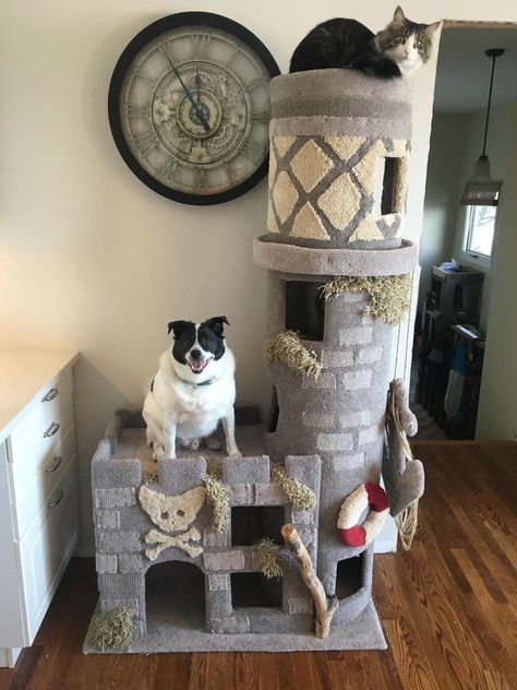 Cat Room Diy, Cool Cat Beds, Tree Castle, Custom Cat Trees, Lethbridge Alberta, Cat Castle, Elite Models, Colorful Hairstyles, Cool Cat Trees