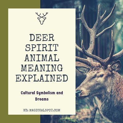 Deer Spirit Animal Meaning Explained [Cultural Symbolism and Dreams] Deer Spirit Animal Meaning, Stag Spirit Animal Meaning, Seeing Deer Meaning, Deer Meaning Spirit Animal, Stag Spirit Animal, Deer Animal Spirit, Stag Animal, Spirit Animal Meaning, Animal Meanings