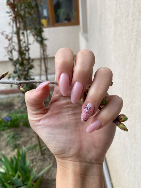 Almond Blossom Nails, Cherry Blossom Pink Nails, Cherry Blossoms Nail Art, Cherry Blossom Almond Nails, Spring Nails2023, Sakura Nails, Cherry Blossom Nails Design, Spring Nails 2022, Cherry Blossom Nails Art