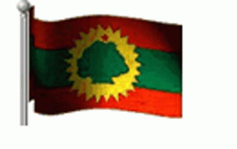 Oromo Flag Alaabaa Oromoo GIF - OromoFlag AlaabaaOromoo Flag - Discover & Share GIFs Oromo Flag, Flag Gif, Waving Gif, Oromo People, Flag Animation, In Gif, Flag Sticker, Animated Gif, Cool Gifs