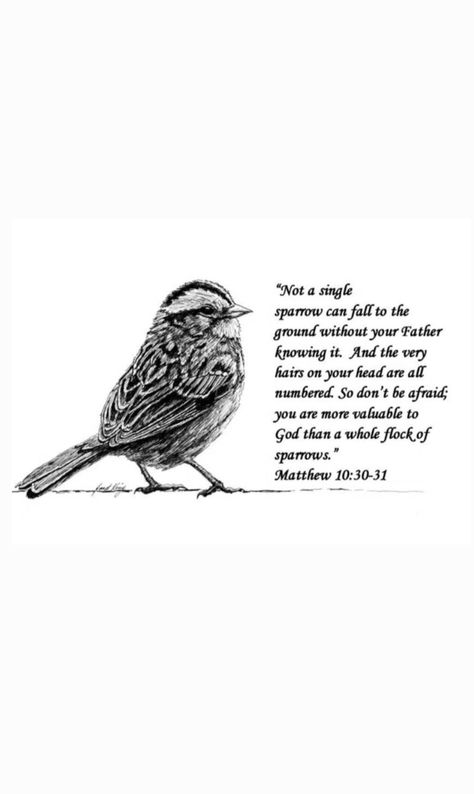 Sparrow Bible Verse Tattoo, Bible Verse About Birds, Bird Bible Verse, Sparrow Scripture, Sparrow Bible Verse, God Gives Me Strength Quotes, Give Me Strength Quotes, Bible Verse Tattoos, Verse Tattoos