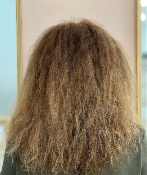 Fried Hair Repair, Fried Bleached Hair, Wet Blonde Hair Aesthetic, Frizzy Hair Memes Hilarious, Fried Hair, Frizzy Hair Meme, Keratin Hair, Butterfly Wallpaper Iphone, Hair Pictures