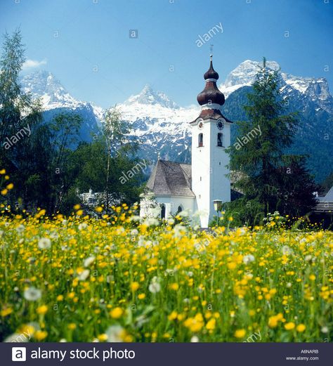 Springtime in the Austrian Alps Alps Austria, Landscape Quilting, Austrian Alps, Destination Vacation, Landscape Reference, Fields Of Flowers, Landscape Quilt, Church Weddings, Mountain Landscapes