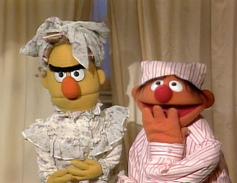 Oh Bert and Ernie! Epi Y Blas, Beto Y Enrique, Muppet Family Christmas, Ernie Und Bert, Sesame Street Muppets, Unanswered Questions, Bert & Ernie, Silly Puppets, Sesame Street Characters