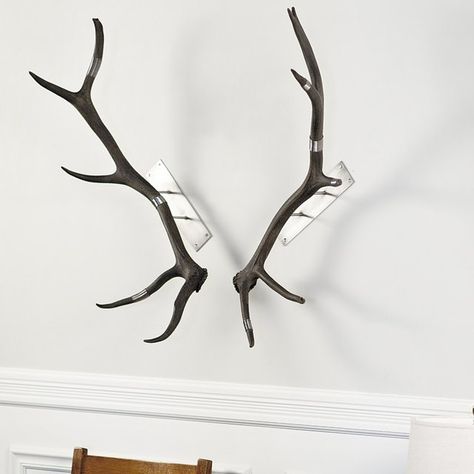 Elk Antler Wall Mount #Beautiful, #Decorative, #EasyToMount, #Impressive, #Wall Antler Mount Ideas, Mounted Antlers, Antler Wall Decor, Antler Ideas, Antler Mount, Elk Horn, Antlers Decor, Deer Mounts, Console Styling