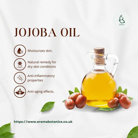 🌼The ingredient for the week is Jojoba Oil. Here are some of its benefits: Packed with antioxidants and moisturising magic, it's the skincare treat your skin's been craving. Here are some jojoba oil benefits 1. Super Moisturising: Jojoba oil provides deep hydration, mimicking the skin's natural sebum and leaving the skin soft and supple. 2. Doesn't Clog Pores: It is non-comedogenic, meaning it moisturises without blocking pores, making it suitable for acne-prone skin. 3. Balances Comp... Jojoba Oil Skin, Jojoba Oil Benefits, Carrier Oil, Environmental Damage, Oil Benefits, Clogged Pores, Skin Barrier, Fine Lines And Wrinkles, Acne Prone Skin