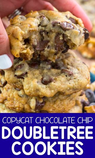 Doubletree Chocolate Chip Cookies, Doubletree Chocolate Chip Cookie Recipe, Doubletree Cookies, Shortbread Cake, Cake Recipes For Beginners, Crazy For Crust, Chocolate Chip Cookies Recipe, Hamburger Steak, Recipes For