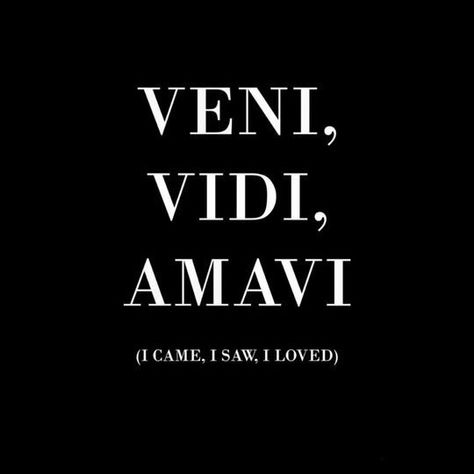 Quotes Latin, Veni Vidi Amavi, Latin Quotes, Latin Phrases, Aesthetic Words, Dragon Age, Pretty Words, Pretty Quotes, The Words