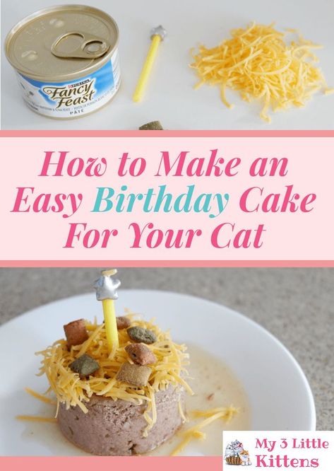 This Easy Birthday Cake For Your Cat How To is perfect for your kitty! Cake Recipe For Cats, Easy Birthday Cake, Birthday Cake For Cat, Homemade Cat Food, Best Cat Food, Easy Birthday, Cat Birthday Party, Homemade Cat, Cat Treat Recipes