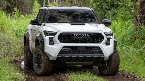 Pricing for the 2024 Toyota Tacoma Hybrid has yet to be announced. The Toyota Tacoma Hybrid will go on sale in early 2024. 2024 Toyota Tacoma, Tacoma Trd Pro, Honda Cg125, Toyota Tacoma Trd Pro, Petrol Price, Honda Civic Hybrid, Bike Prices, Car Workshop, Toyota Tacoma Trd