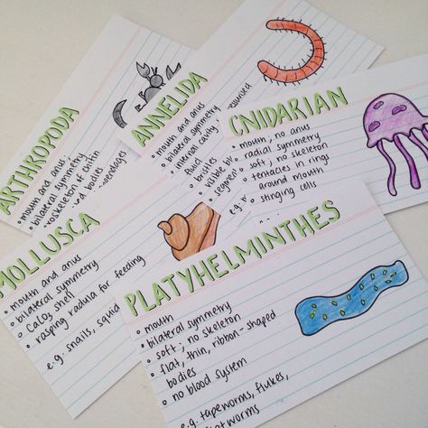 10 / 100 days of productivity | 05.08.16Some flashcards I made for the classification of plant and animal phyla (Biology Topic 5.3)! Topic 5 is the most difficult for me to remember, but making... Biology Flashcards For Neet, Aesthetic Topic Ideas For Notes, Flash Cards Biology, Ideas For Flashcards, Flashcards Aesthetic Ideas Biology, Aesthetic Notes Making Ideas, Flashcards For Neet, Notes Making Ideas Biology, Flash Cards Ideas Study Science