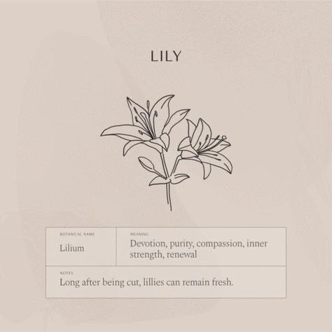 Lily Tattoo Meaning, Flora Necklace, Lavender Jewelry, Flor Tattoo, Lily Flower Tattoos, Flower Necklaces, Birth Flower Necklace, Lily Tattoo, Flower Meanings