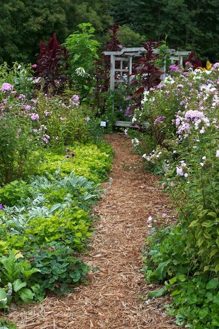 Mulched Garden Path, Mulched Garden Pathways, Bark Mulch Pathway, Bark Pathway Garden Paths, Mulch Garden Path, Bark Path, Mulch Pathway, Garden Bark, Walkways Paths